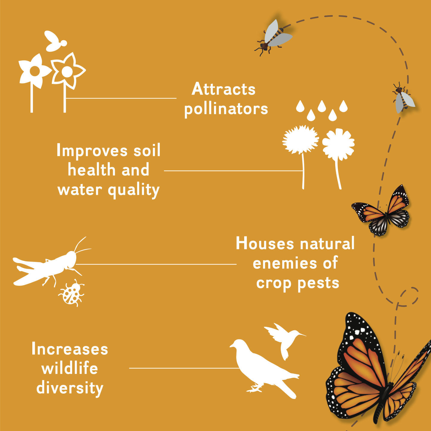Cornstalk_sustainability_social